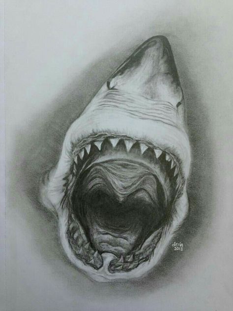 Great White Shark Sketch, Shark Pencil Drawing, Sea Animals Drawing Realistic, Shark Mouth Drawing, Shark Jaw Drawing, Shark Mouth Tattoo, Jaw Drawing, Sharks Mouth, Great White Shark Drawing