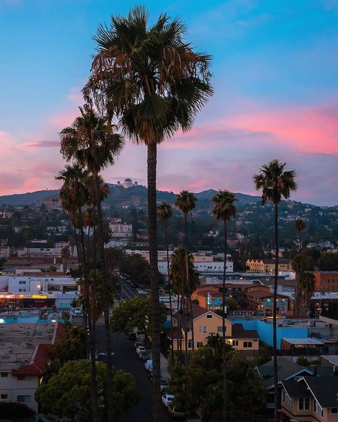 Cali Apartment, Marcus Holloway, Cali Aesthetic, Dope Pics, Old Timers, City Pics, La Baby, La Art, Desert Sunset