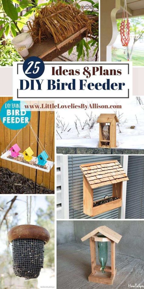 Fly Through Bird Feeder Plans, Suet Bird Feeder Diy, Diy Suet Feeder Holder, Diy Bird Feeder Wooden, Bird Feeding Station Ideas Diy, Bird Feeders Diy Homemade, Diy Bird Feeder Easy, Ground Bird Feeder, Bird Feeder Diy