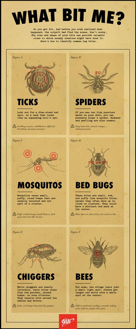 Bug Bites And Their Symptoms | AAA Types Of Bites On Skin, Insect Bite Identification Chart, Insect Bites Identification, Bug Bites Identifying Chart, Different Bug Bites, Bug Bites Identifying, Bed Bug Bites Pictures, Types Of Bug Bites, Medical Hacks