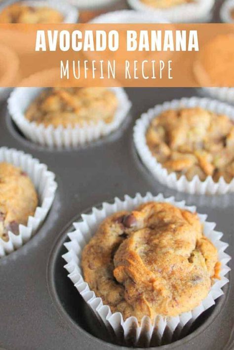 Pizza Buns Recipe, Avocado Oatmeal, Avocado Muffins, Double Chocolate Chip Muffins, Gluten Free Baking Mix, Healthy Breakfast Snacks, Banana Oatmeal Muffins, Chocolate Chip Muffin Recipe, Banana Muffin