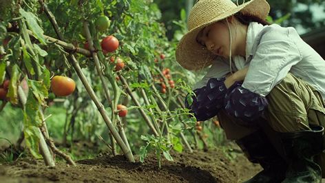 Into The Forest Movie, Movie Food, Japan Movie, Forest Summer, Little Forest, Secret Forest, Anatomy Poses, Veg Garden, Ghibli Movies