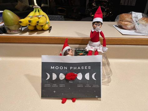 Phases Of The Moon Elf On The Shelf, Moon Elf, Phases Of The Moon, On The Shelf, Moon Phases, Elf On The Shelf, The Moon, Christmas Decor, Elf