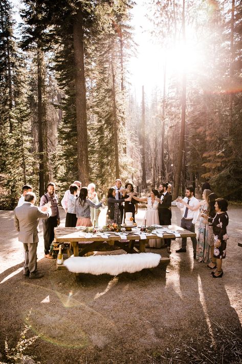 Mountain Elopement With Family, Elopement With Family Photography, Yosemite National Park Wedding, Family Elopement Wedding, Yosemite Picnic, Elopement Ideas With Family, Sequoia Wedding, Family Elopement, Matthew Christopher