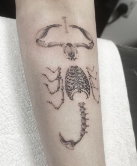 Simple Bone Tattoo, Scorpion Skeleton Tattoo, Skeleton Chest Tattoo, Animal Bones Tattoo, Animal Bone Tattoo, Bone Tattoo Ideas, Aesthetic Skeleton, Bones Tattoo, Anubis Tattoo