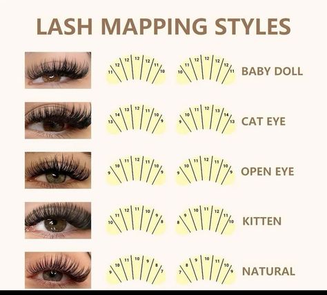 Lash Mapping Natural Eye, Lash Cluster Mapping Styles, Lash Placement, Lash Tutorial, Lash Maps, Lash Map, Bigger Eyes, Lash Mapping, Lashes Tutorial