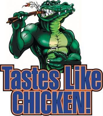 Gator Bait! Gators Vs Seminoles, Fla Gators, Gator Logo, Uf Gators, Travel Humor Quotes, Florida Football, Florida Gators Football, Gators Football, Like Chicken