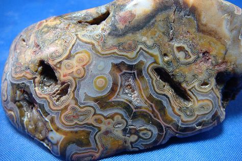 RARE FAIRBURN BANDED AGATES - SOUTH DAKOTA | Flickr - Photo Sharing! Fairburn Agate South Dakota, Traditional Beaded Agate Gems And Cabochons, Fairburn Agate, Traditional Agate Colorful Beads, Gobi Desert Agate, Agate Rocks, Fossil Hunting, Lake Superior Agates, Rock Hunting