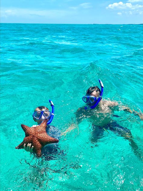 Abaco Bahamas, Swimming Pigs, Bahama Mama, Third World, Vacation Photos, Tropical Vacation, Boat Rental, Great Restaurants, Beach Club