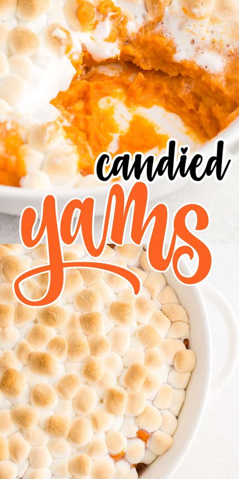 Cooked yams are mashed with melted butter and maple syrup, vanilla and brown sugar; then topped with a huge pile of mini marshmallows then toasted to perfection. Pop this casserole in the oven and make the kiddos' eyes light up when you tell them to eat their vegetables for Thanksgiving dinner. A perfect side dish. Homemade Yams With Marshmallows, Stove Top Candied Yams, Candied Yams Easy, Candied Yams With Marshmallows, Best Candied Yams Recipe, Southern Candied Yams, Yams With Marshmallows, Mashed Yams, Baked Candied Yams