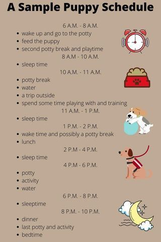 a sample puppy schedule Dog Food Schedule, New Puppy Area Ideas, Potty Training Puppy Schedule, Dog Routine Schedules, Puppy Training Schedule By Age, Puppy Routine Schedule, New Puppy Schedule, Puppy Shot Schedule, New Puppy Tips