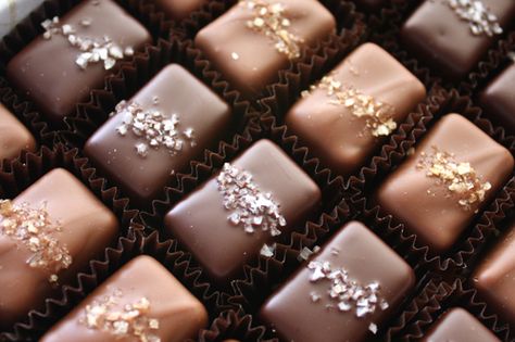 Fran's Chocolates Salted Caramels. One of my favorite treats on the planet! Salted Caramels, Champagne Chocolate, Salted Caramel Chocolate, Fine Chocolate, I Love Chocolate, Salted Chocolate, Chocolate Caramels, Love Chocolate, Best Chocolate