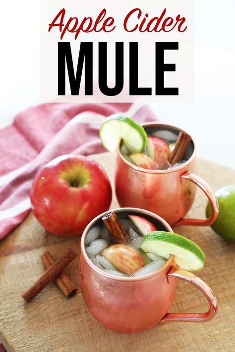 Apple cider mule a Fall spin on the classic Moscow mule. A Fall seasonal cocktail that is great for a gathering or even Thanksgiving. Thanksgiving Mule, Apple Cider Mule, Cider Mule, Seasonal Cocktail, Copper Mugs, Festive Drinks, Alcoholic Beverages, Lime Wedge, Apple Slices