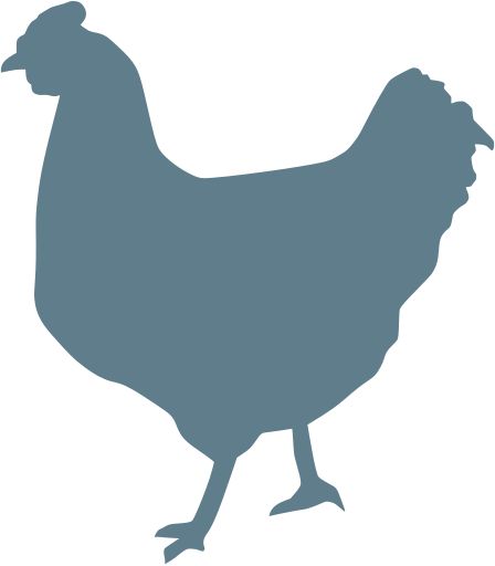 chicken cock animal - Free SVG Image & Icon. Chicken Svg Free Files For Cricut, Cricut Chicken Projects, Free Chicken Svg Files For Cricut, Chicken Svg Free Cricut, Free Chicken Svg, Homestead Sign, Free Cricut Images, Svg Chicken, Cricut Ornaments