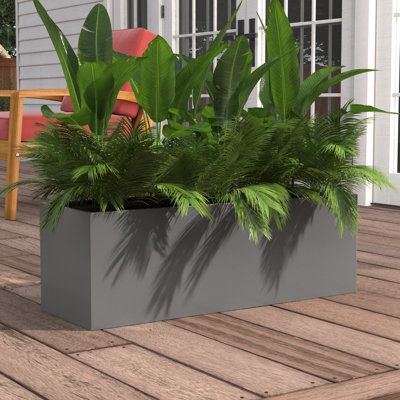 Give flowers and herbs a place to call home with this rectangular planter box. Equally suited to spruce up spaces inside or outdoors, it's made from fiberglass that's designed to be weather-resistant. Its clean lines lend a modern feel to the overall look, while the neutral, solid-hued finish makes it easy to pair with almost any color palette. And, with a variety of size options, you can cultivate gardens of any size. Take note: There are no drainage holes, so we recommend adding some rocks at Rectangular Planters Outdoor, Dream House Porch, Long Planter Boxes, Give Flowers, Rectangular Planter Box, Long Planter, Deck Planters, Versatile Gray, Rectangle Planters