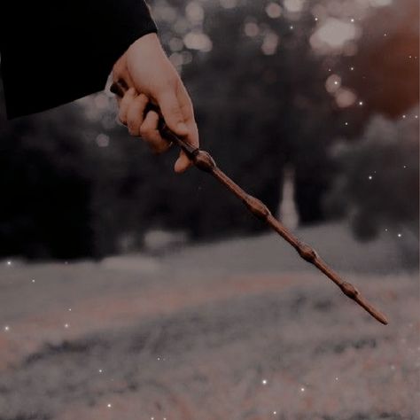 James Sirius Potter, Harry Potter Oc, Gryffindor Aesthetic, Hufflepuff Aesthetic, Ravenclaw Aesthetic, Music On Spotify, Hogwarts Aesthetic, Slytherin Aesthetic, Harry Potter Wand