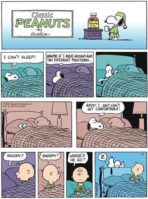 Charlie Brown Comics, Charles Shultz, The Awkward Yeti, I Can't Sleep, Woodstock Snoopy, Snoopy Comics, Lucy Van Pelt, Snoopy Cartoon, Peanuts Comic Strip