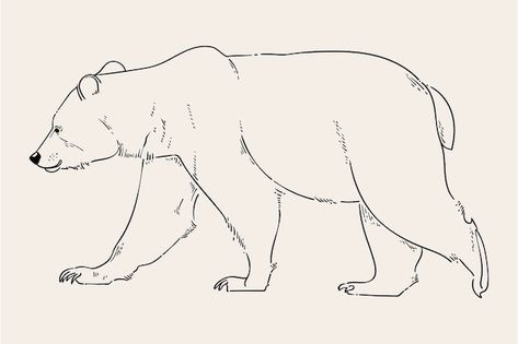 Bear Line Art, Bear Outline, Animal Outline, Minimal Illustration, Monochrome Illustration, Birthday Card Drawing, Bear Drawing, Outline Illustration, Bear Illustration