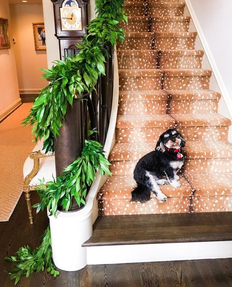 Astro approves of our Nagi + Cocculus garland 👍🏻⁣ ⁣ Our latest Storyshare feature, Laura Hotze, used lush garland to create a one-of-a-kind look for her springtime "Moms' Night Out" party. We're still swooning over the results. Link in bio to read more about it! Moms Night Out, Moms' Night Out, Moms Night, Night Out Party, Greenery Garland, Spring Event, Instagram Worthy, How To Take, Deep Green