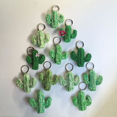 ... Organization Baskets, Small Crochet Gifts, Crochet Plants, Crochet Shoes Pattern, Crochet Cactus, Mini Cactus, Easy Crochet Projects, Crochet Plant, Crochet Keychain