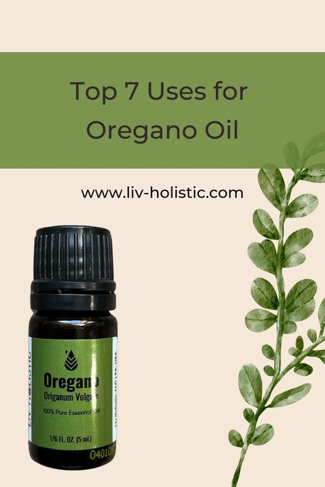 These are my favorite uses for oregano essential oil! This oil may not smell the best, but its versatility makes this oil a must-have! Click the link below to read more. #essentialoils #oregano Orengo Oil Benefits, Uses For Oregano, Doterra Oregano Oil, Doterra Oregano, Oregano Oil Benefits, Oils For Sinus, Essential Oils For Face, Oregano Essential Oil, Basil Oil