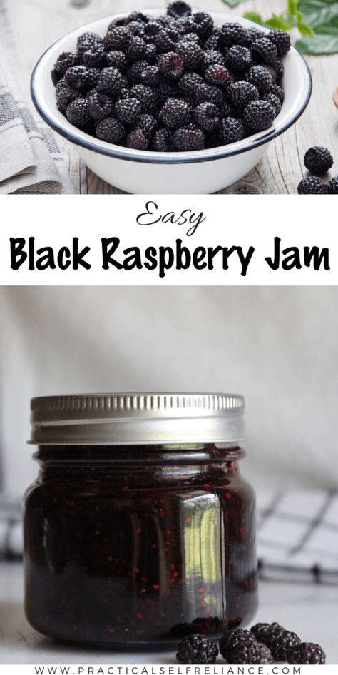 Black Raspberry Canning Recipes, Black Raspberry Cake Recipes, Fresh Black Raspberry Recipes, Black Raspberry Jelly Recipe, Chokecherry Recipes, Black Raspberry Jam Recipe, Jam For Canning, Black Raspberry Recipes, Black Raspberry Jam