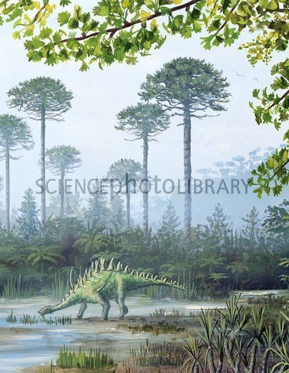 Jurassic Period, Life Artwork, Prehistoric Wildlife, Dinosaur Wallpaper, All Dinosaurs, Dinosaur Illustration, Prehistoric World, Prehistoric Art, Paleo Art