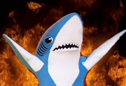 tumblr_nj4jg0Xu3Z1ry4nh5o1_500.gif (440×300) Shark Meme, Shark Gif, Shark Pfp, Left Shark, Legendary Dragons, Sharks Funny, Plenty Of Fish, Orca Whales, Whale Shark