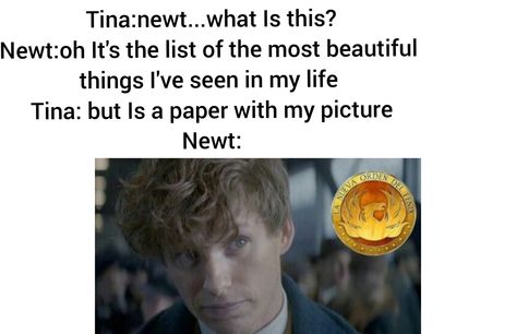 Fantastic Beasts and where to find them Fantastic Beasts Memes Funny, Fantastic Beasts And Where To Find Them, Fantastic Beast, Newt Scamander, Fantastic Beasts And Where, Harry Potter Marauders, Newt, Fantastic Beasts, Memes Funny