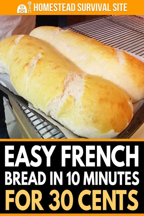 Quick 1 Hour Bread, 30 Minute Bread Recipes, 10 Minute Bread Recipe, 30 Minute Bread, Bread In 10 Minutes, Make French Bread, Bakery Oven, Easy French Bread, Easy French Bread Recipe