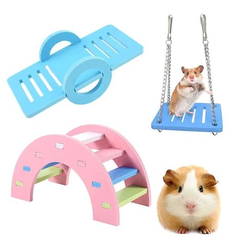 Hamster Diy Cage, Small Animal Treats, Hamster Diy, Pet Room, Gus Gus, Baby Guinea Pigs, Hamster Toys, Brush Teeth Kids, Pet Mice