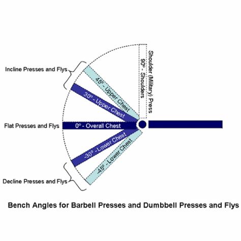 Bench Press Angles and Muscles Worked Bench Press Workout, Adjustable Bench Press, Crossfit Workouts Wod, Barbell Press, Weight Training Programs, Bodybuilding Program, Incline Bench, Wod Workout, Dumbbell Press