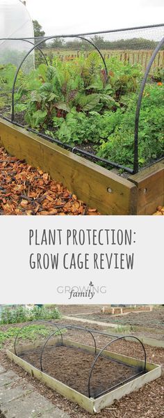 Looking for plant protection products? Check out this review of Qwerkity's Grow Cage, a no-fuss option for protecting crops from birds and local wildlife. Growing Blueberries, Crop Protection, Backyard Garden Landscape, Plant Protection, Garden Maintenance, Garden Landscape Design, Food Garden, Enchanted Garden, Garden Bed