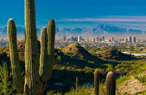 50 Cities to watch for Real Estate - 2019 Phoenix Skyline, Phoenix Usa, Phoenix Homes, Sedona Az, Sonoran Desert, Phoenix Arizona, Tourist Destinations, Real Estate Marketing, Kayaking