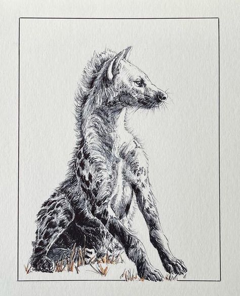 Hyena Snarling, Hyena Skeleton, Hyenas Drawing, Hyena Tattoo Designs, Hyena Sketch, Hyena Painting, Hyena Drawing, Hyena Art, Hyena Animal