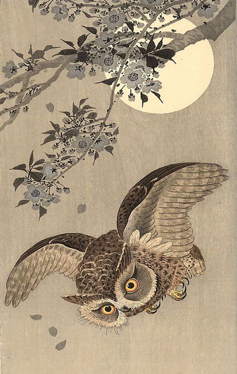 Art Chinois, Ohara Koson, Eastern Art, Art Japonais, Art Et Illustration, Japanese Woodblock Printing, Japanese Painting, Owl Art, Arte Animal