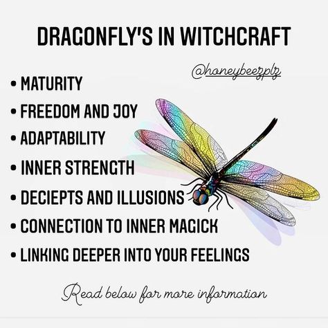 Dragonfly Symbolism, Spirit Animal Meaning, Totem Animals, Window Charm, Crystal Witch, Spiritual Animal, Animal Spirit Guides, Wiccan Magic, Witch Spirituality