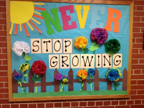 Spring bulletin board Summer Boards, Pe Classroom, Door Bulletin Boards, Clown Crafts, Never Stop Growing, Spring Bulletin, Diy Classroom Decorations, Spring Bulletin Boards, Spring Classroom