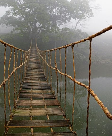 rickety wooden bridge - where does it lead? Rope Bridge, Suspension Bridge, Bridge, Trees, Water