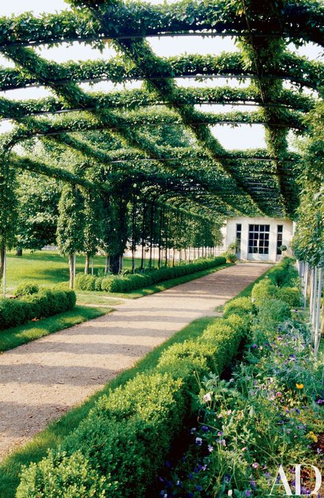 At Oak Spring, ‘Mary Potter’ crab apples are cordoned over a pergola that leads from the walled garden to the greenhouses (doors shown). Crab Apples, Backdrop Diy, Grass Wall, Garden Vines, Desain Lanskap, Garden Walkway, Garden Drawing, Backdrop Wedding, Walled Garden