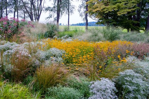 No Beer, Sustainable House, Piet Oudolf, Rustic Landscape, Meadow Garden, Short Plants, Blue Plants, Flower Colors, Green Things