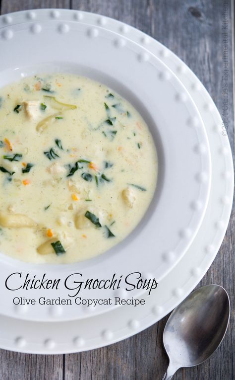 Chicken Gnocchi Soup Olive Garden Copycat | Carrie's Experimental Kitchen #soup #copycat Gnocchi Soup Olive Garden, Soup Olive Garden, Olive Garden Chicken Gnocchi, Olive Garden Chicken, Copycat Recipes Olive Garden, Chicken Gnocchi Soup Olive Garden, Packaging Photography, Olive Garden Copycat, Olive Garden Recipes