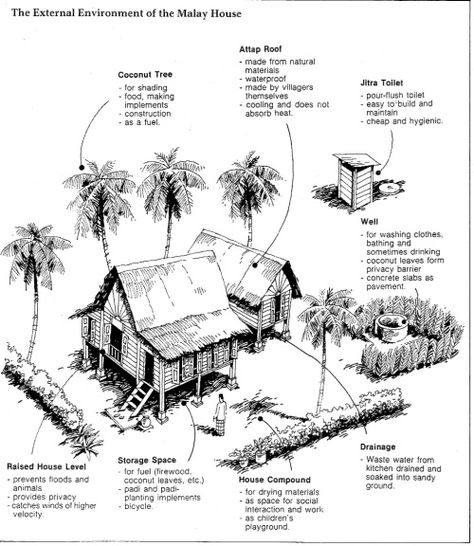 Kampung compound Kampung House, Malay House, Malay Traditional, Thesis Proposal, Ang Bao, Filipino Architecture, Stilt Houses, Bahay Kubo, Manual Design