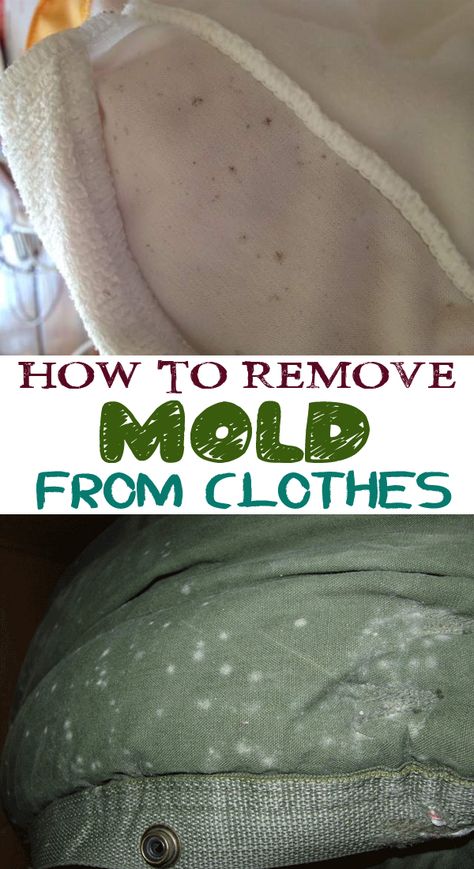 If you have forgotten your clothes in a cupboard, you will probably notice some mold stains on them. See what you can do about it in the following article. Remove Mold From Clothes, How To Remove Mold, Remove Mold, Homemade Toilet Cleaner, Stain Removers, Mold Removal, Cleaning Painted Walls, Laundry Tips, Glass Cooktop