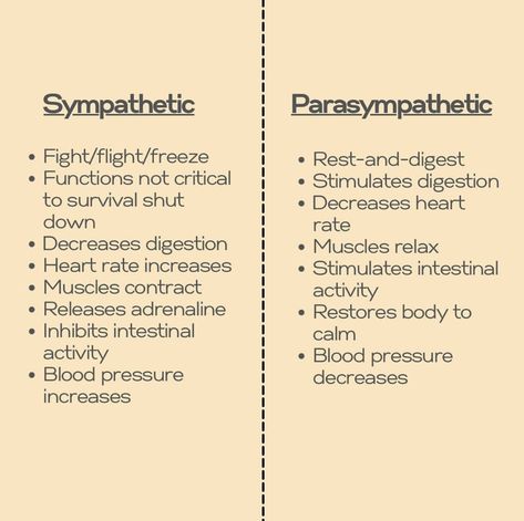 Somatic Vs Autonomic Nervous System, Self Enhancement, Parasympathetic Vs Sympathetic, Sympathetic Vs Parasympathetic, Autonomic Nervous System Dysfunction, Sound Baths, Polyvagal Theory, Healing Massage, Somatic Healing