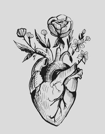 The Proportion of the Flowers to the Heart is ideal in this sketch, but with the white Lillies, Marigold and Fuscia flowers, also love how they are growing out of the Aorta at the top of the heart. Would like slightly more stemy / leavey / laurely parts connecting the flowers though. Aorta Tattoo, Flowers Growing Out Of Body Drawing, Love Heart Drawing Aesthetic, Realistic Heart Sketch, Drawing Ideas Heart, Fuscia Flowers, Anatomical Heart With Flowers, Painting Idea For Beginners, Love Heart Drawing