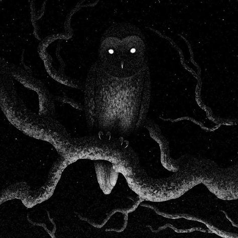 Creepy Owl Art, Scary Owl, Spirit Drawing, Scary Drawings, Black Owl, Owl Illustration, Dark Images, Owls Drawing, Owl Pictures