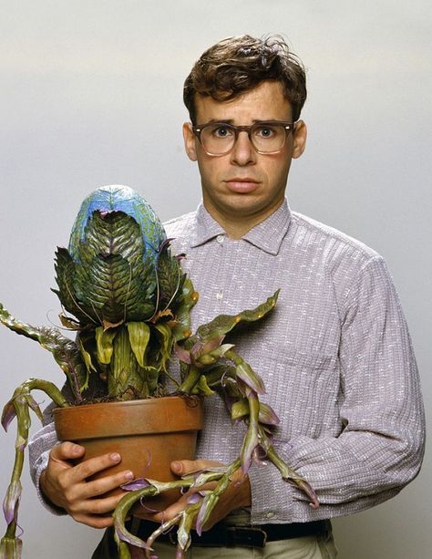 Seymour Krelborn and Audrey II in Little Shop of Horrors (1986). I got a part in the chorus of my school production. Little Shop Of Horrors Costume, Button Inspiration, Suddenly Seymour, Rick Moranis, Audrey Ii, Space Ghost, The Rocky Horror Picture Show, Little Shop Of Horrors, I Love Cinema