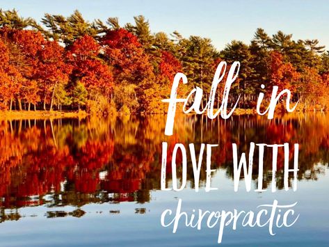 Autumn Chiropractic Quotes, October Chiropractic Month, November Chiropractic, Halloween Chiropractic, Chiropractic Marketing Ideas, Chiropractor Adjustment, Chiropractic Humor, Chiropractic Quotes, Chiropractic Marketing