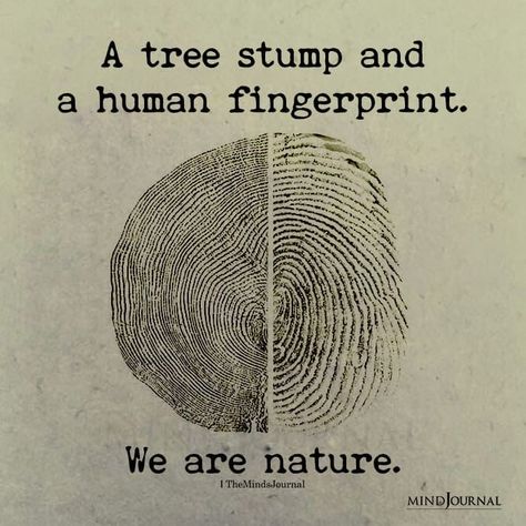 A tree stump and a human fingerprint. We are nature. #spiritualseeker #awakening We Are Nature, Tree Stump, Nature Quotes, Human Nature, Wise Quotes, Shirt Ideas, The Words, Spiritual Quotes, A Tree